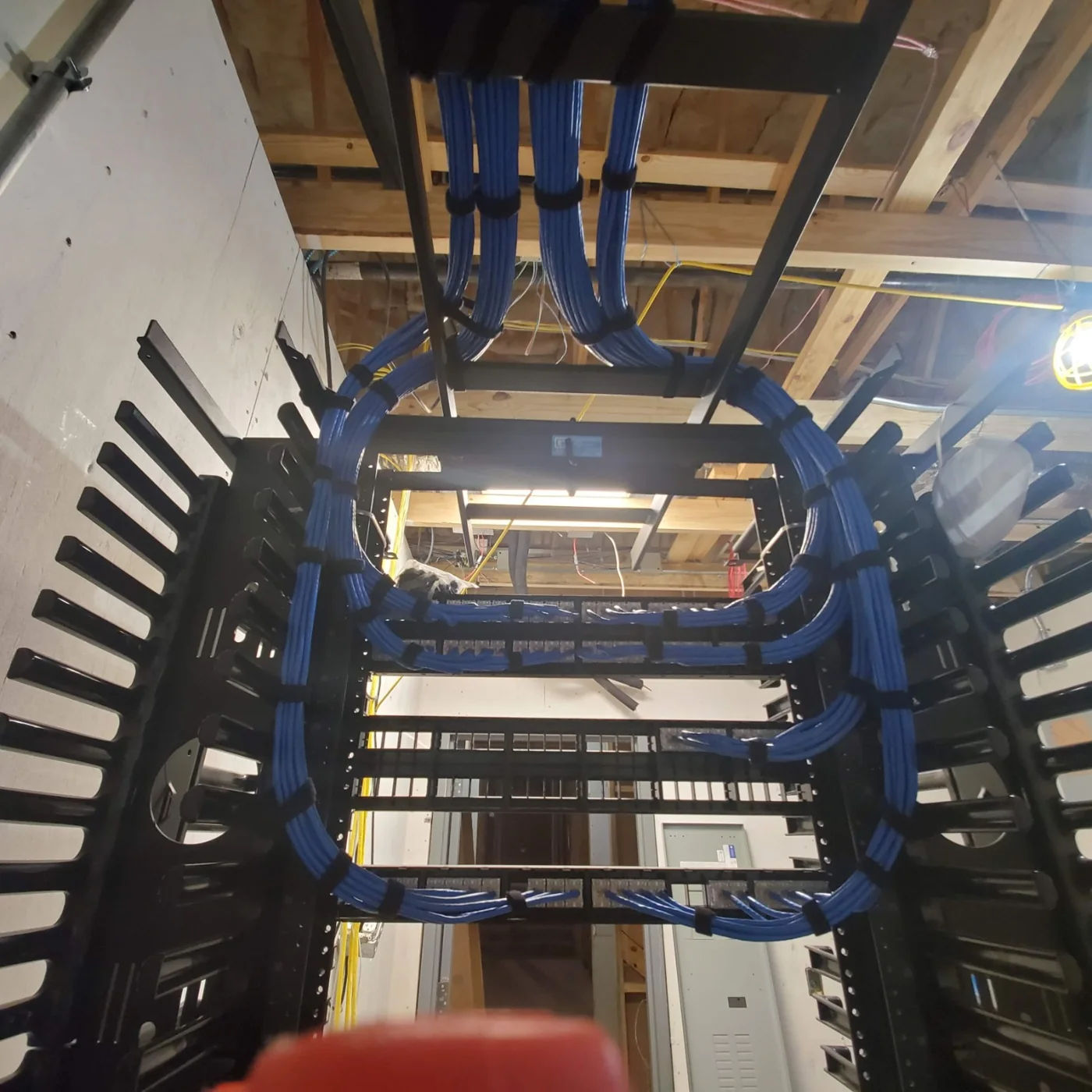 Organized blue network cabling routed through a rack
